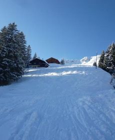 B&B Chalet Rey-Bellet