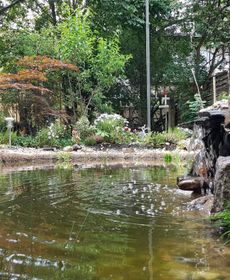 Leipziger Wildnis - Leipzig Wilderness