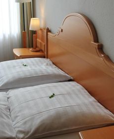 Hotel Weidenhof