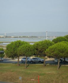 Jolis Studios Vue Sur Mer Port, Etangs Et Canaux Résidence Rivercity
