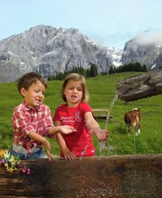 Cosy Apartment in Dienten Am Hochkönig Near Ski Lift