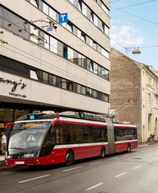 wolfgangs managed by aando