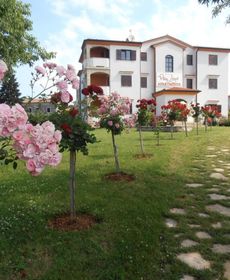 Villa Linet