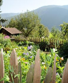 Chalet Appartement Zingerlehof Trens