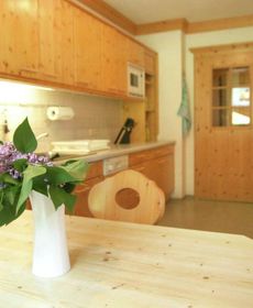 Comfortable Holiday Home in Huttschlag Austria Near Ski Area