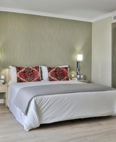 Olissippo Marques de Sa