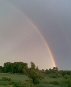 Ferienhaus Am Schilfgürtel