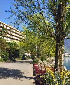 Royal Plaza Montreux & SPA