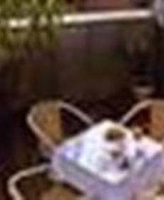 Best Western Hotel Halle-Merseburg