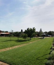 Olimagio