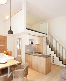 ''Die Bergerin'' | Appartements Schladming