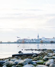 Ferienwohnung " Panoramablick " Mit Hallenbad Berg Und Seesicht