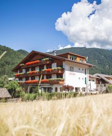 Hotel Alpenhof