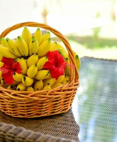 Hide Away Holiday Apartments