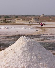 Bungalows Bela Vista Maio Beach