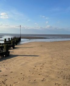 Gone To the Beach Flat 1