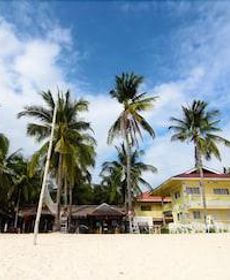 Malapascua Beach And Dive Resort