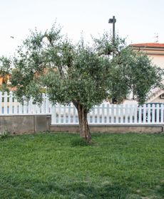 Luca'S Home in Tuscany