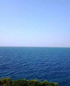 Apartments Punta Milna