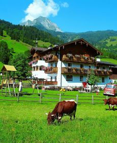 Die Unterbergerin