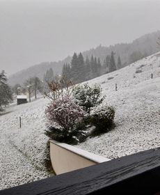 Studio 4 Personnes Proche Pistes Saint Jean D'Aulps Cimes 18