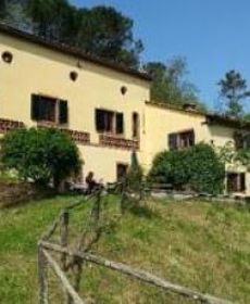 Villa Viola