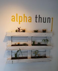 Alpha Thun