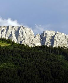 Ferienpark Waldpension Putz