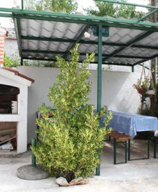 Lovely Studio Apartment in Starigrad