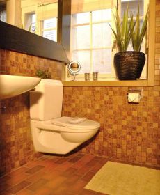 In the Heart of Zurich - Pedestrian Area - Close To Central, Main Trai