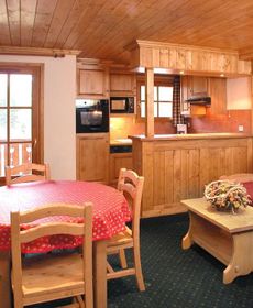 Comfortable Apartment with Balcony at 100m From the Ski Lift