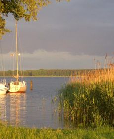 Strandhaus Direkt An Der Müritz