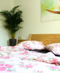 Dresden Großer Garten