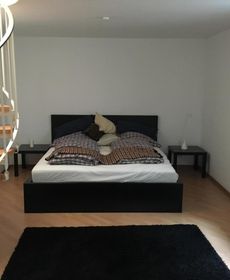 Modern Apartment Munichairport