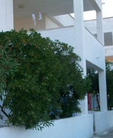 Appartamento Privato Gargano