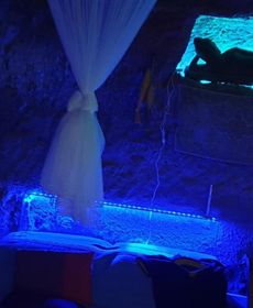 La Cueva de la Perra Vieja