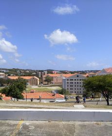 Springle'S Quiet Place