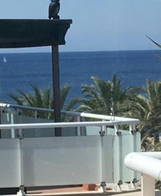 Penthouse la Paz 9 - Castle View