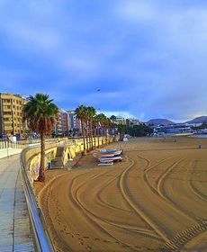 Mahalo Healthy House