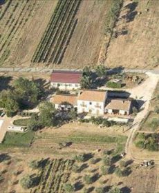 La Pulledraia Del Podere Montegrappa