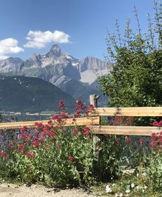 Le Mazacote de Florisol