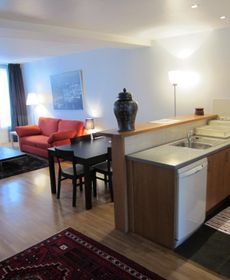 Les Appartements du Louvre
