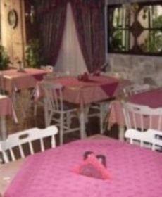 Splendid Guest House