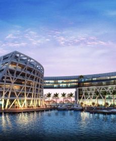 The Abu Dhabi Edition