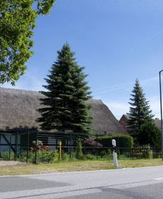 Sleep Under a Thatched Roof - Apartment in Ahlbeck Near Haff