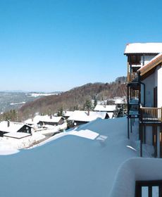 Apartment Appartementanlage Sonnenwald (Lfu101)