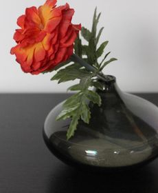 Floris Arlequin Grand Place