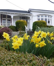 Oamaru Holiday Homes 28 Ure Street