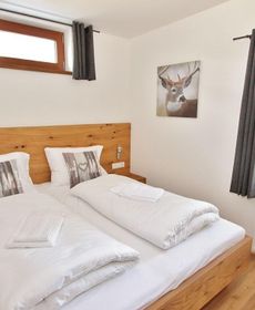 Luxury Chalet Near Ski Area in Zell Am See