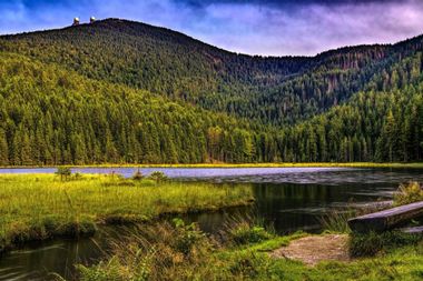 Bavarian Forest nationalpark